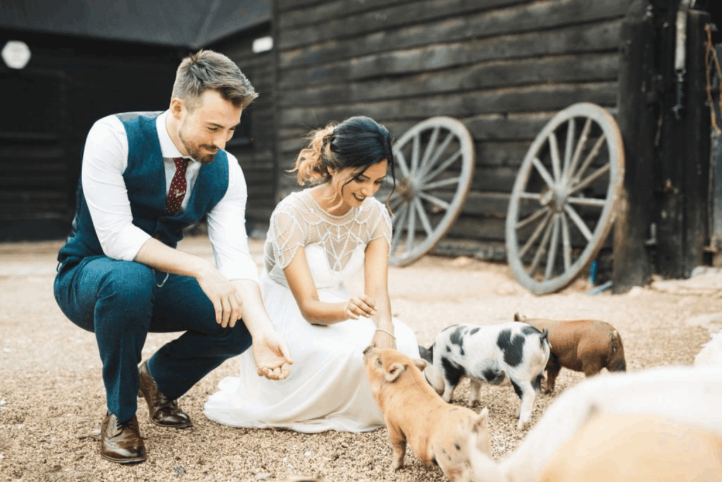 Farm Wedding Venue Bride and Groom with Piglets