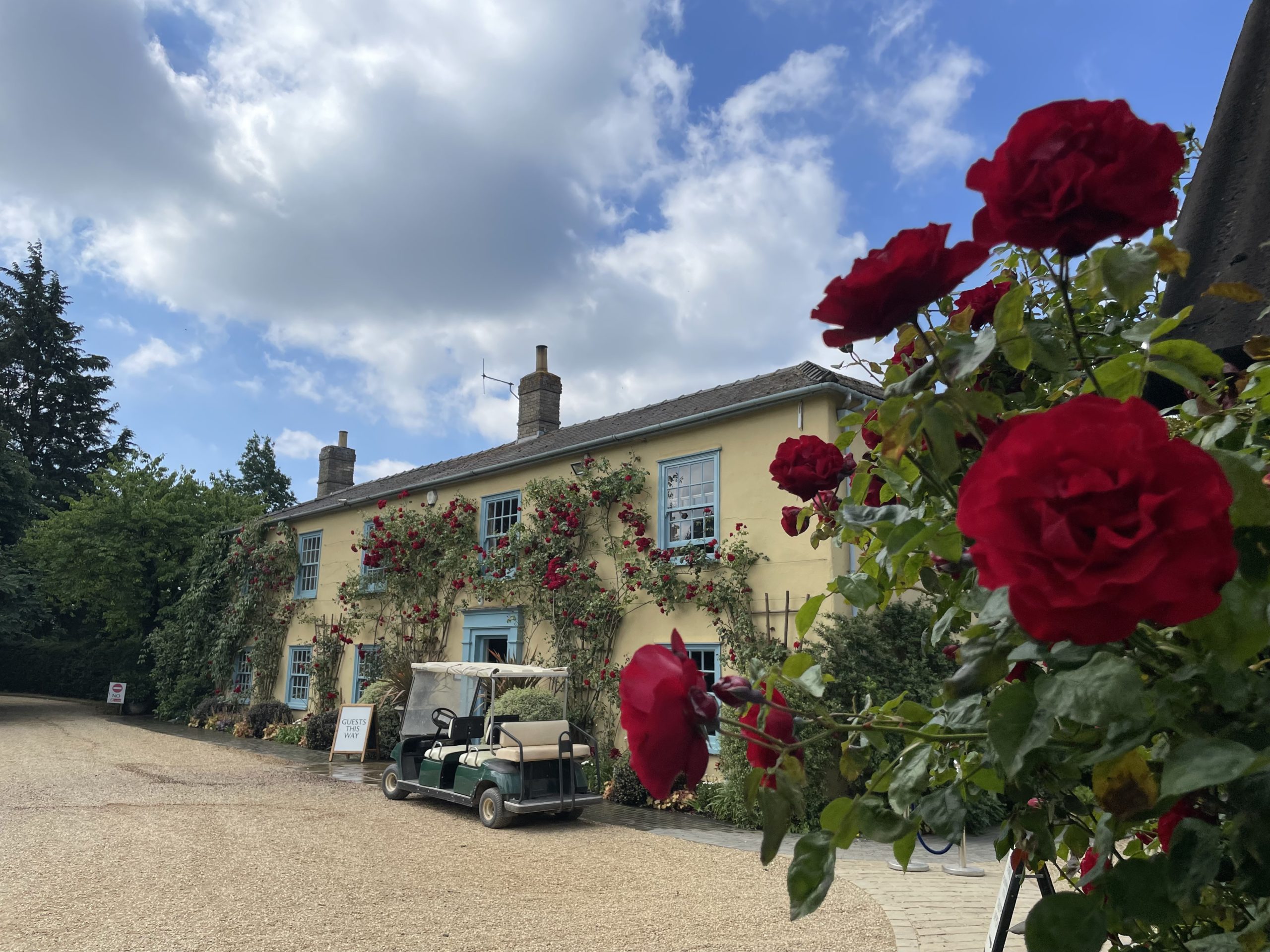 Red Roses at South Farm Wedding Venue